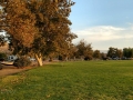 Lake Skinner Recreation Area - Campground Lawn