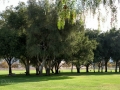 Lake Skinner Recreation Area - Picnic Area