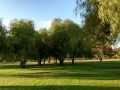 Lake Skinner Recreation Area - Picnic Area