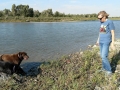 River's Edge RV Park - Kim plying with the pups on Old Man River