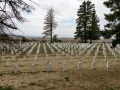 Custer National Cemetery