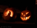 Halloween Pumpkins