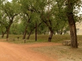 Medora Campground - Tent Sites