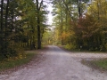 Itasca-SP-Campground