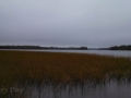 Lake-Itasca-2