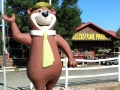 Yogi Bear's Jellystone Park - Yogi Bear