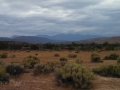 Cloudy Day at Mojave River Forks