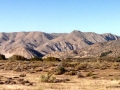 Mojave River Forks Vista