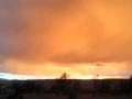 Rain Shower Sunset Glow at Mojave River Forks