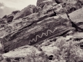 Moore-Snake-Petroglyphs-BW-1