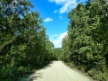 Mountain Shadow RV Park - Entrance Lane