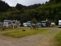 Campsites at Neskowin Creek RV Resort