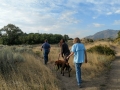 Hiking Near Cottonwood Canyon - Amanda, Ron, Kim & the pups