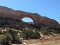 UT-191 - Wilson's Arch