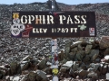 Ophir-Pass-Sign