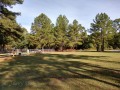 Shreveport KOA - Lawn