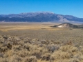 Desert vista looking towards Bridgeport, CA