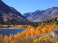 Lundy Lake and fall color