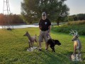 Topeka KOA - Jerry & Pepper - Pepper doesn't know what to make of the deer!