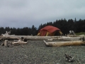 Quileute Oceanside Resort Beach Camp