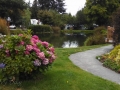 Rainbows End RV Park Pond