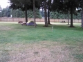 Rainbows End RV Park Tent Area