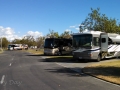 Rancho Jurupa Regional Park - Cottonwood Sites