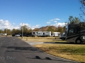 Rancho Jurupa Regional Park - Cottonwood Sites