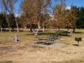 Rancho Jurupa Regional Park - Picnic Area