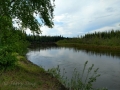 Riverview RV Park - Chena River