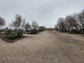 Saddleback RV Park - Sites