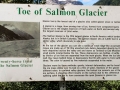 Granduc Rd - Salmon Glacier Toe Info