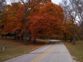 Iowa-Fall-Color-1