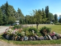 Shady Rest RV Park - Flower Beds