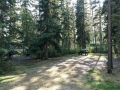 Shady Rest RV Park - Sites