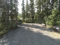 Shady Rest RV Park - Sites