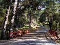 Bridge-at-Silent-Valley