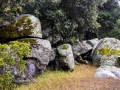 Silent Valley - Boulders