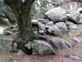 Silent Valley - Boulders