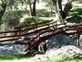 Silent Valley - Foot Bridge