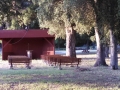 Silent Valley - Chapel in the Woods