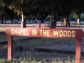 Silent Valley - Chapel in the Woods