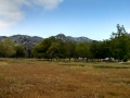 Silent Valley - Meadow