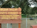 Silent Valley - Puppy Paradise Pet Run (Thank you, Matthew!)