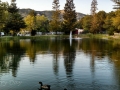 Silent Valley - Fishing Pond