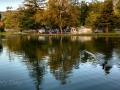 Silent Valley - Fishing Pond