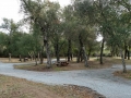 Silent Valley - Campsites