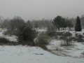 Rare snowfall at Silent Valley Club - Winter 2018