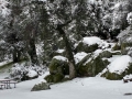 Rare snowfall at Silent Valley Club - Winter 2018