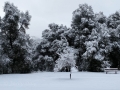 Rare snowfall at Silent Valley Club - Winter 2018